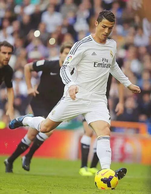 被平滑填补 被平滑填补